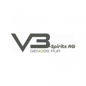 V3 SPIRITS V3 SPIRITS
